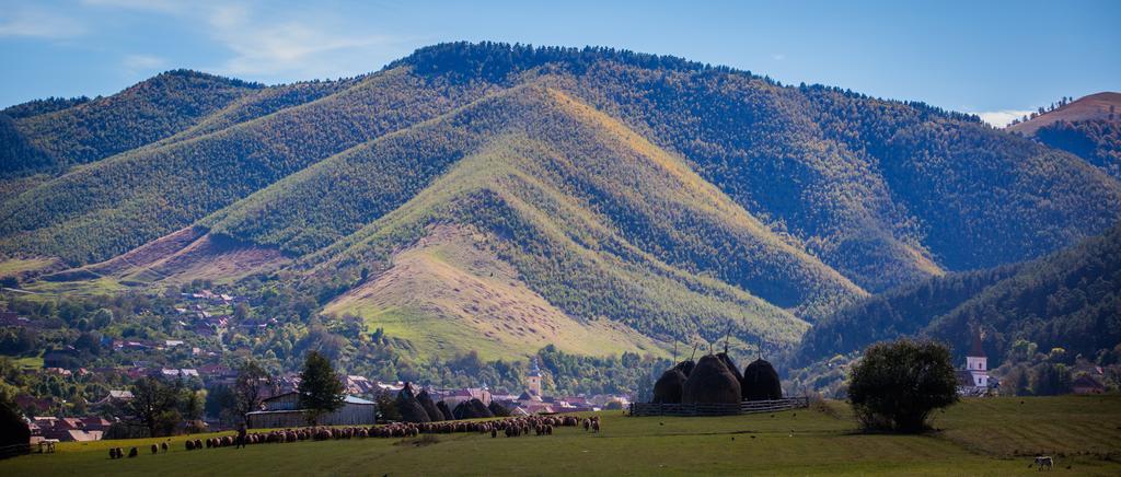 Picturesque Village In Transylvania Rasinari Room photo